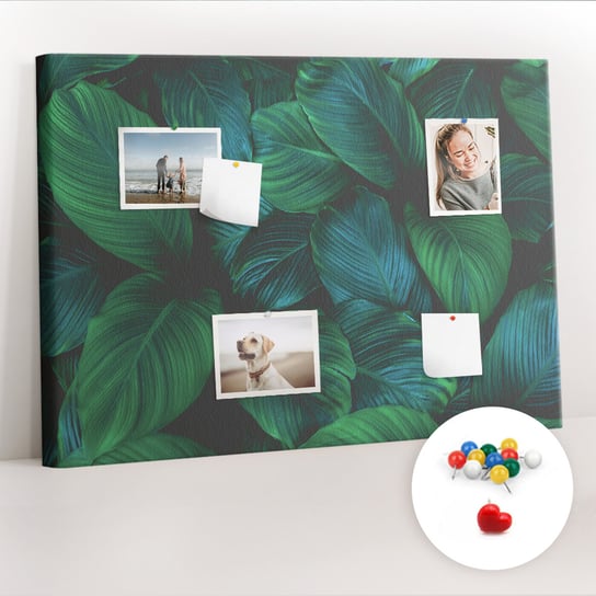 Organizer, Tablica korkowa 100x70 cm + Kolorowe Pinezki - Przyroda liście Coloray