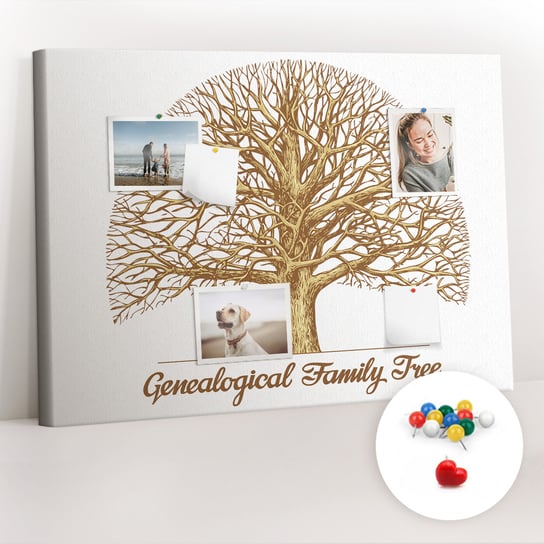 Organizer, Tablica korkowa 100x70 cm + Kolorowe Pinezki - Stare rodzinne drzewo Coloray