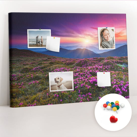 Organizer, Tablica korkowa 100x70 cm + Kolorowe Pinezki - Wschód słońca kwiaty Coloray