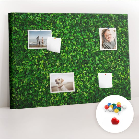 Organizer, Tablica korkowa 100x70 cm + Kolorowe Pinezki - Żywopłot liście Coloray