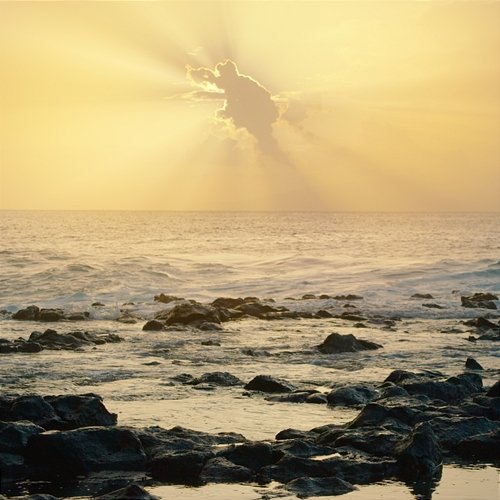 Origin Jay Ocean