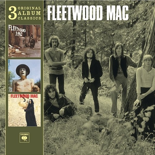 I've Lost My Baby Fleetwood Mac