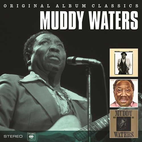 Sad Sad Day Muddy Waters