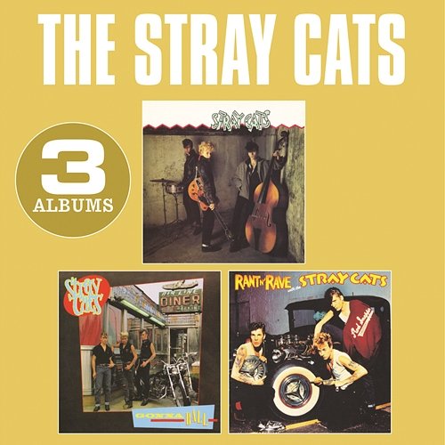 Rev It up and Go Stray Cats