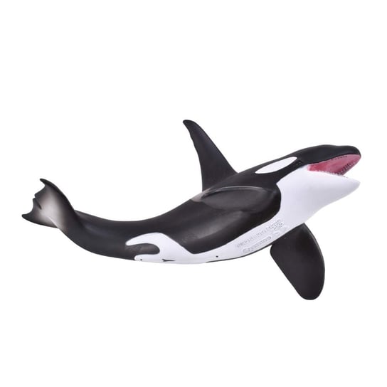 Orka Collecta