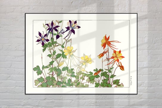 Orlik Aquilegia Plakat Japonia Grafika Vintage 50X70 Cm (B2) / Dodoprint Dodoprint