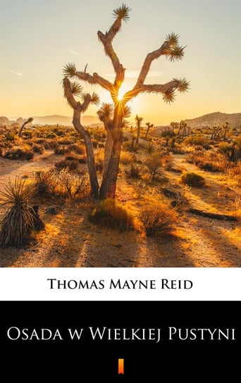 Osada w wielkiej pustyni Reid Thomas Mayne