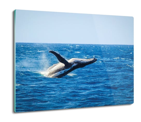 osłona do kuchenki druk Wieloryb w oceanie 60x52, ArtprintCave ArtPrintCave