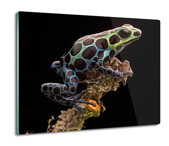 osłona do kuchenki szklana Peruwiańska żaba 60x52, ArtprintCave ArtPrintCave
