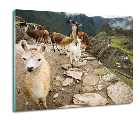 osłona do kuchenki z foto Lamy Machu Picchu 60x52, ArtprintCave ArtPrintCave