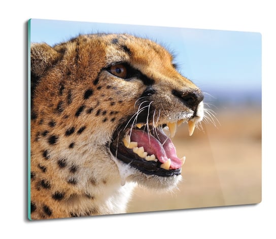 osłona do płyty indukcyjnej Gepard kot dziki 60x52, ArtprintCave ArtPrintCave
