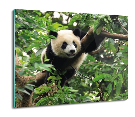 osłona do płyty indukcyjnej Panda las natura 60x52, ArtprintCave ArtPrintCave