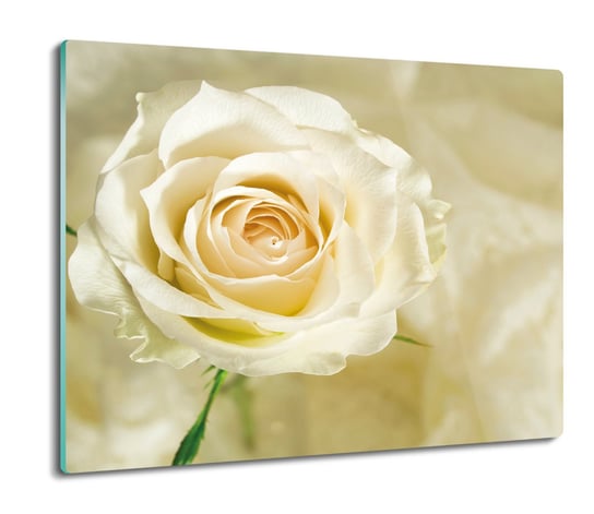 osłona do płyty indukcyjnej Róża biała kwiat 60x52, ArtprintCave ArtPrintCave