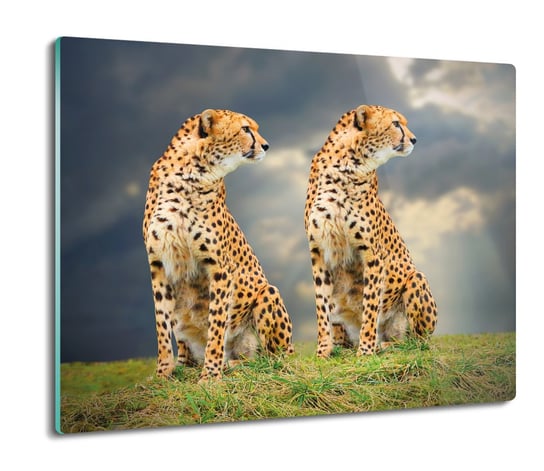 osłona na indukcję druk Gepard natura niebo 60x52, ArtprintCave ArtPrintCave