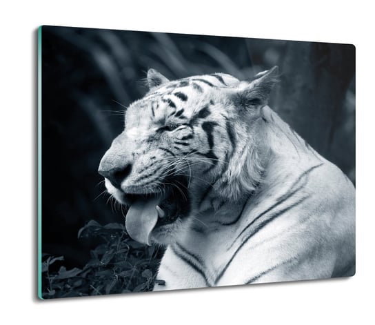 osłona na płytę indukcyjną druk Tygrys biały 60x52, ArtprintCave ArtPrintCave