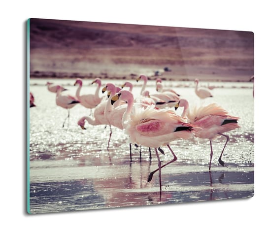 osłona na płytę indukcyjną Flamingi w wodzie 60x52, ArtprintCave ArtPrintCave