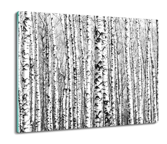 osłona na płytę indukcyjną Las brzoza drzewa 60x52, ArtprintCave ArtPrintCave