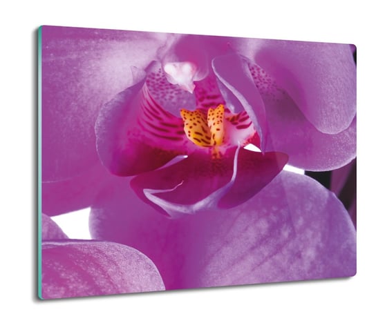 osłona na płytę indukcyjną Orchidea storczyk 60x52, ArtprintCave ArtPrintCave