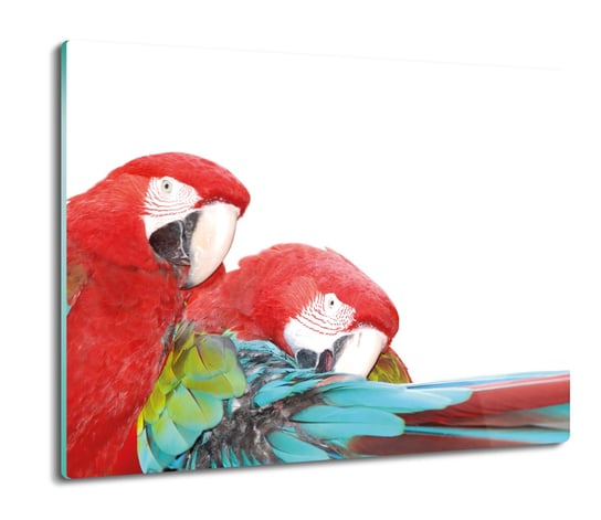 osłona na płytę indukcyjną Papugi ARA pióra 60x52, ArtprintCave ArtPrintCave