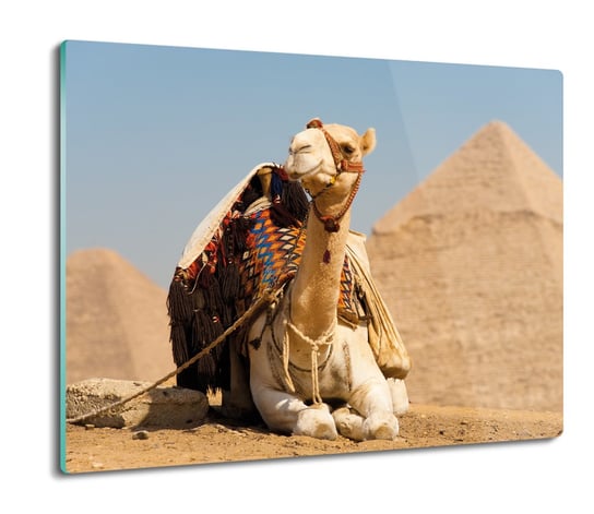osłona na płytę indukcyjną Piramida wielbłąd 60x52, ArtprintCave ArtPrintCave