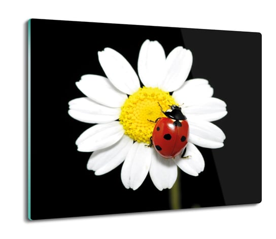 osłona płyty kuchennej Biedronka owad kwiat 60x52, ArtprintCave ArtPrintCave