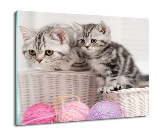 osłona płyty kuchennej Dwa koty w koszyku 60x52, ArtprintCave ArtPrintCave