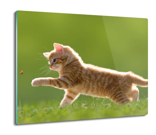osłona płyty kuchennej Kot biedronka trawa 60x52, ArtprintCave ArtPrintCave