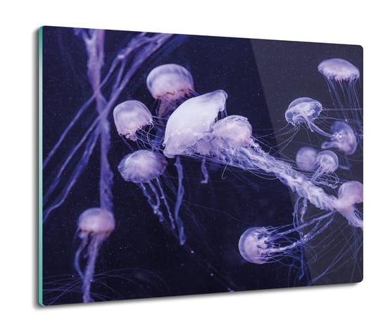 osłona płyty kuchennej Meduzy ocean morze 60x52, ArtprintCave ArtPrintCave