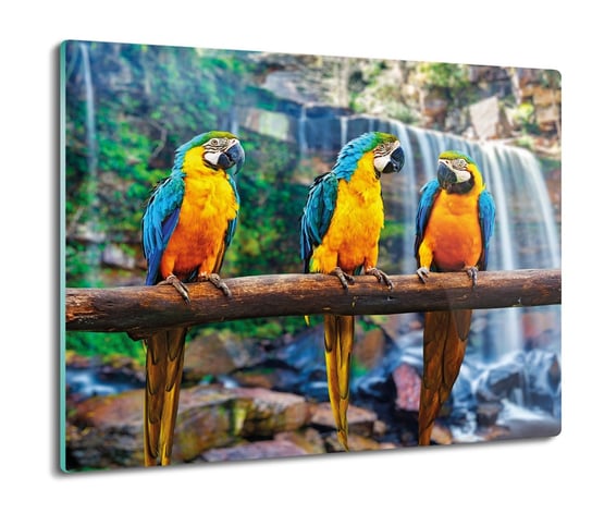osłona płyty kuchennej Papugi ARA wodospad 60x52, ArtprintCave ArtPrintCave
