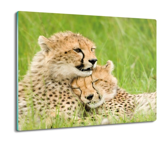 osłona płyty kuchennej Para gepardy natura 60x52, ArtprintCave ArtPrintCave