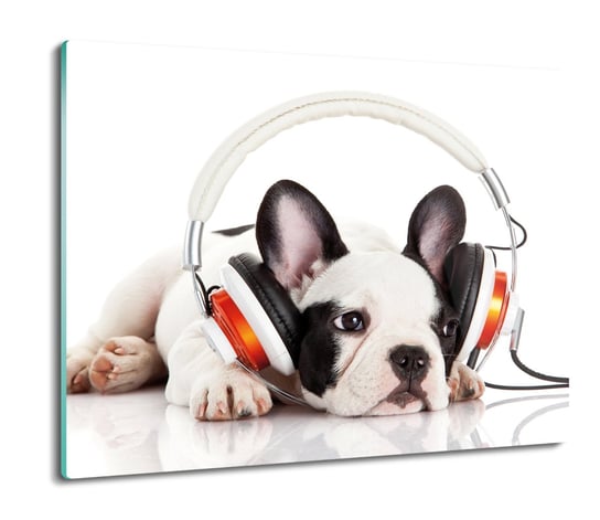 osłona płyty kuchennej Pies w słuchawkach 60x52, ArtprintCave ArtPrintCave