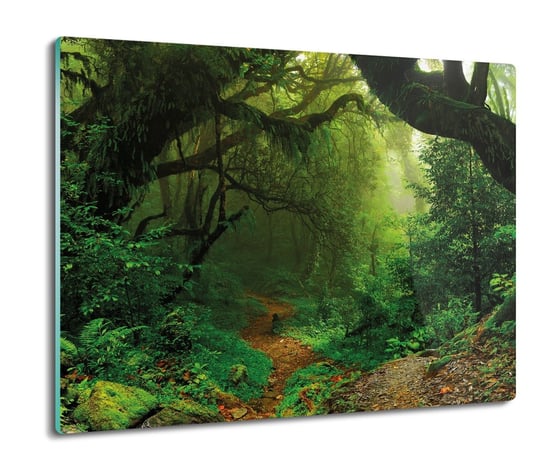 osłona płyty kuchennej Puszcza drzewa Nepal 60x52, ArtprintCave ArtPrintCave