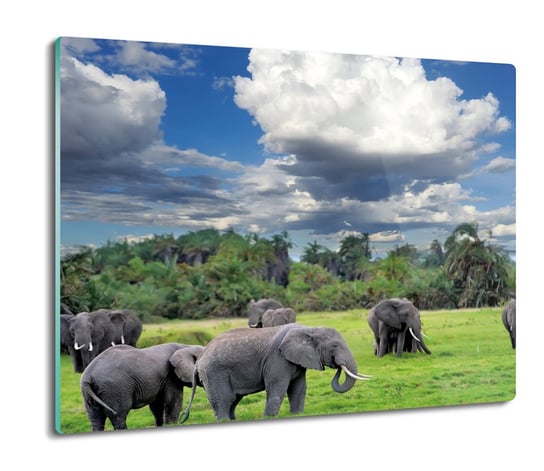 osłona płyty kuchennej Słonie trawa drzewa 60x52, ArtprintCave ArtPrintCave
