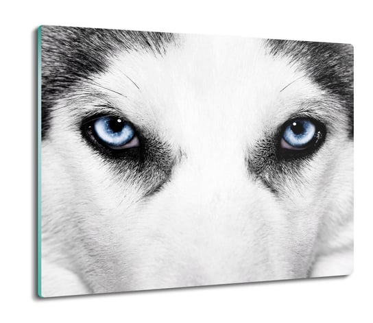 osłona płyty kuchennej z nadrukiem Oczy psa 60x52, ArtprintCave ArtPrintCave