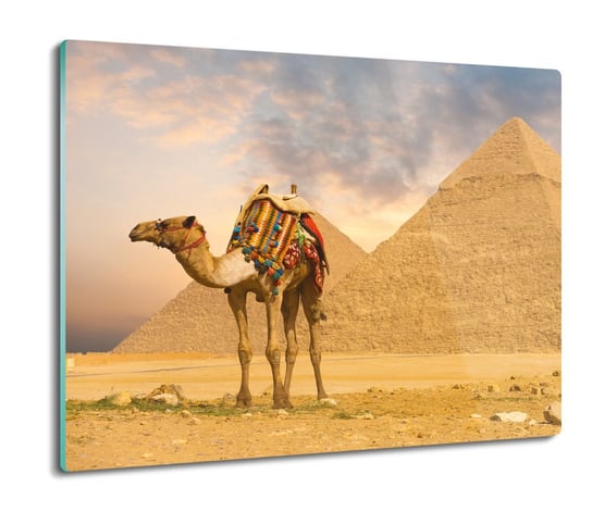 osłona splashback ze szkła Piramida wielbłąd 60x52, ArtprintCave ArtPrintCave