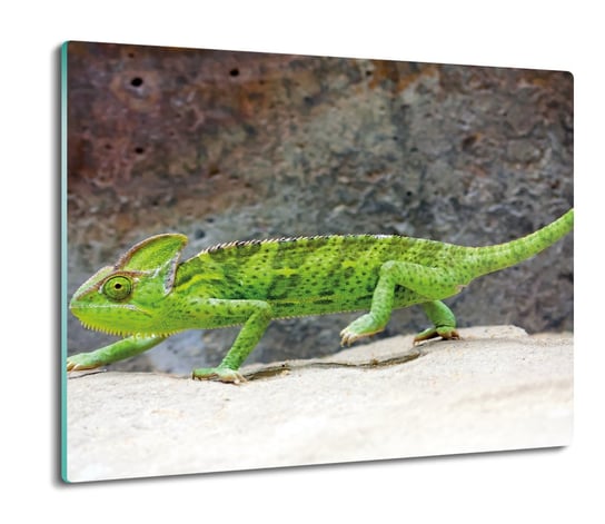 osłonka kuchenna z grafiką Kameleon skały 60x52, ArtprintCave ArtPrintCave