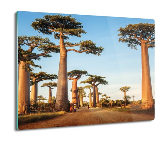 osłonka kuchenna ze szkła Baobab Madagaskar 60x52, ArtprintCave ArtPrintCave