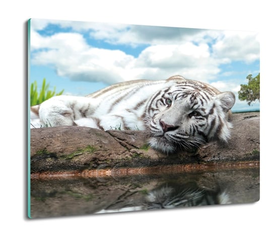 osłonka kuchenna ze szkła Biały tygrys woda 60x52, ArtprintCave ArtPrintCave