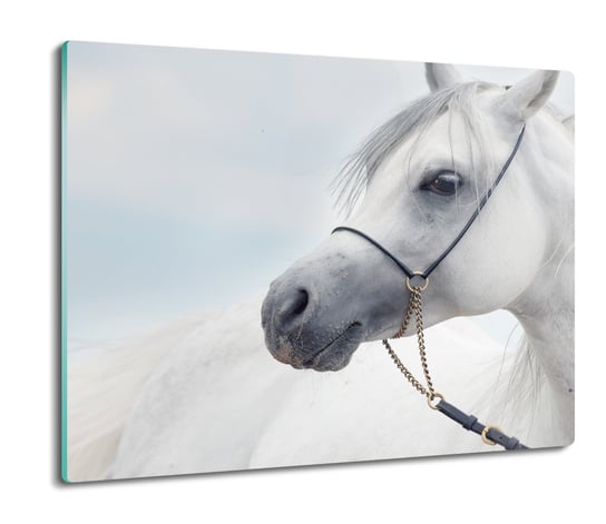 osłonka kuchenna ze szkła Portret biały koń 60x52, ArtprintCave ArtPrintCave