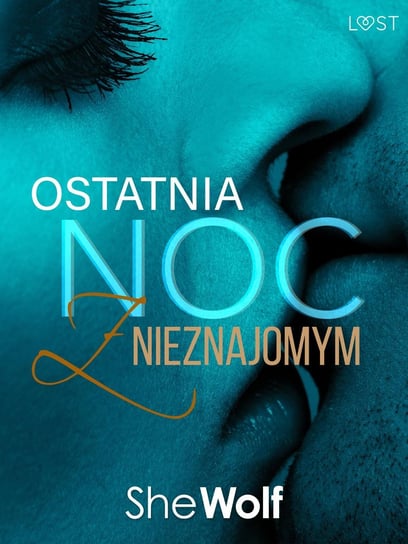 Ostatnia noc z nieznajomym – opowiadanie erotyczne SheWolf