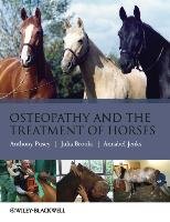 Osteopathy Treatment Horses Pusey, Brooks, Jenks