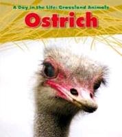 Ostrich Spilsbury Louise