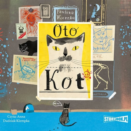 Oto kot - audiobook Wierzba Paulina