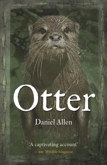 Otter Daniel Allen
