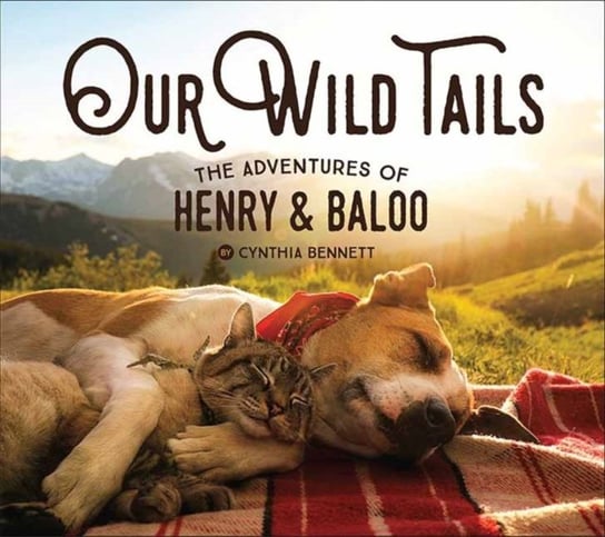 Our Wild Tails: The Adventures of Henry and Baloo Cynthia Bennett