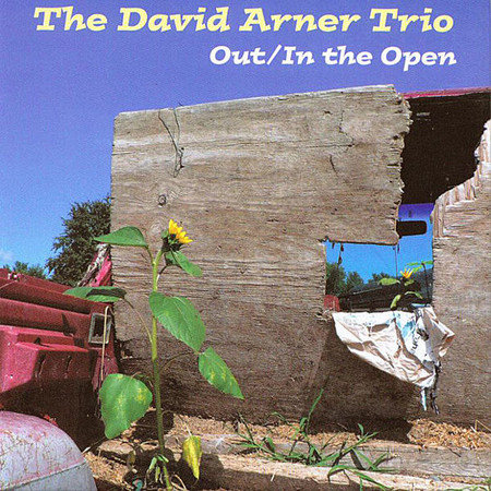 Out / In the Open Arner David Trio