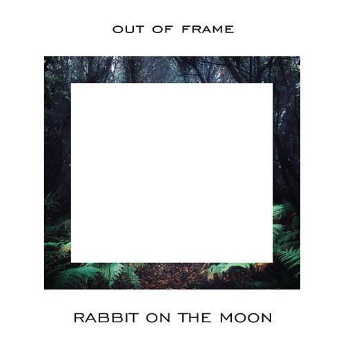 Out Of Frame Rabbit on the Moon
