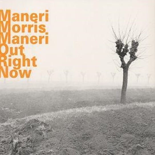 Out Right Now Maneri Joe