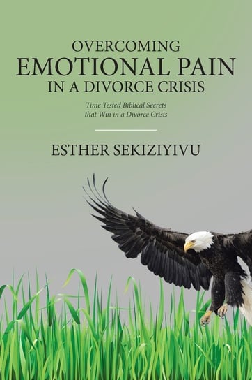 Overcoming Emotional Pain in a Divorce Crisis Sekiziyivu Esther