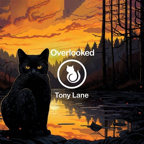 Overlooked Tony Lane